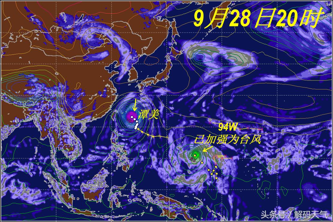 康妮最新消息揭秘，一场充满惊喜与感动的旅程