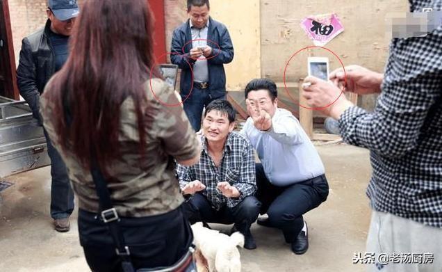 草根最新动态，时代脉搏与民间声音的共鸣