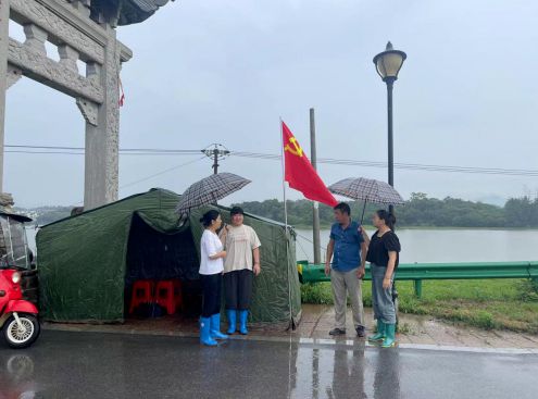 枞阳城市新活力，稳健前行的发展步伐