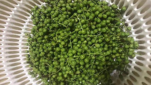 探寻青花椒市场波动背后的故事，最新行情分析与价格走势揭秘