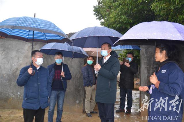 湖南禽流感最新消息,湖南禽流感最新消息，守护家园的健康防线