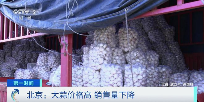 最新大蒜价格行情走势深度解析与预测报告