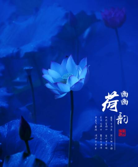缘来不晚最新一期，遇见与重逢的盛宴
