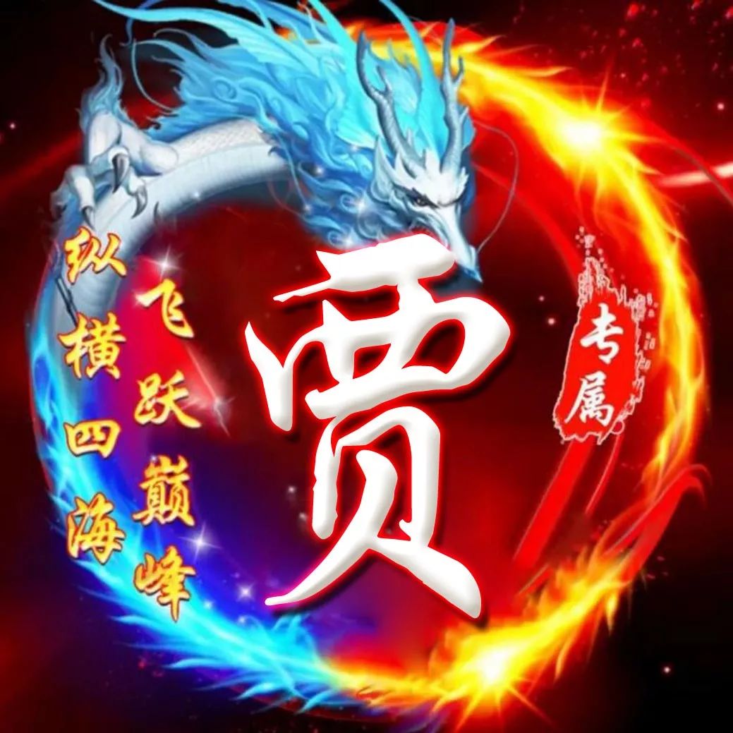 揭秘贾姓头像背后的故事与情感共鸣，最新贾姓头像一览