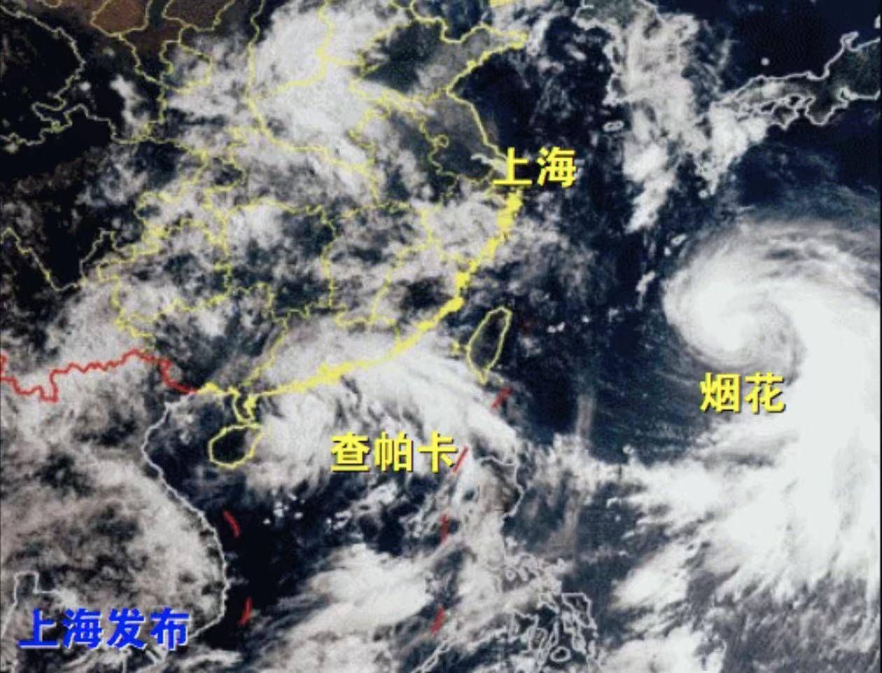 上海烟花台风最新动态，城市风云变幻中的脉动