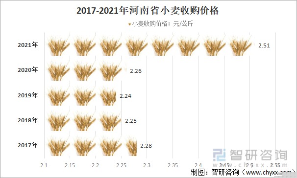 济南小麦价格最新行情及市场走势与种植户心态深度解析