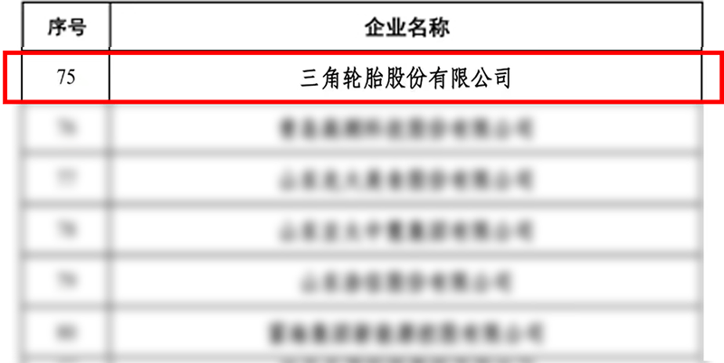 三角轮胎引领行业变革，塑造未来出行新篇章
