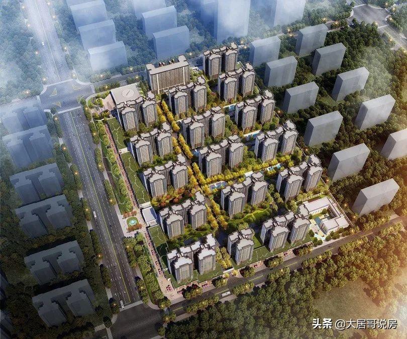 探索未知，最新绵羊资讯与美好发现