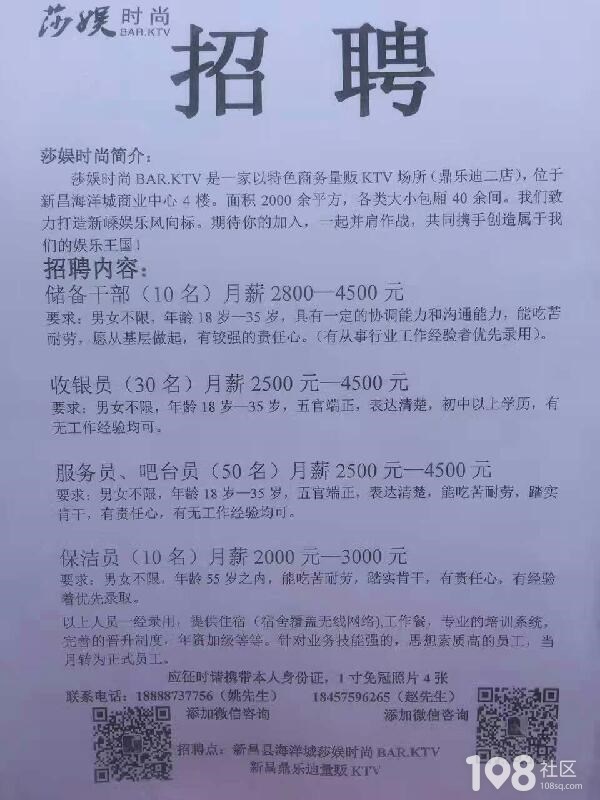 东钱湖最新招聘信息发布，地区职位吸引力揭秘