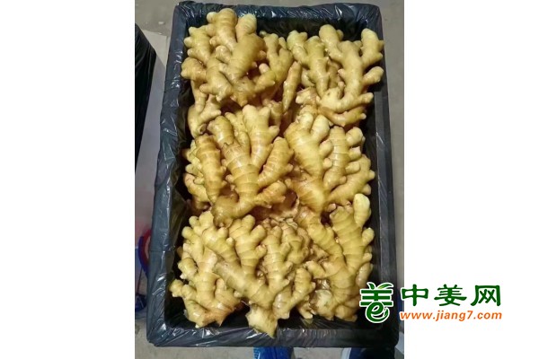 第168页