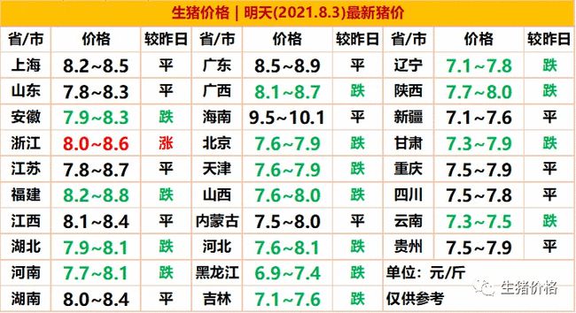明日最新猪价查询，洞悉市场动态，共话畜牧未来发展趋势