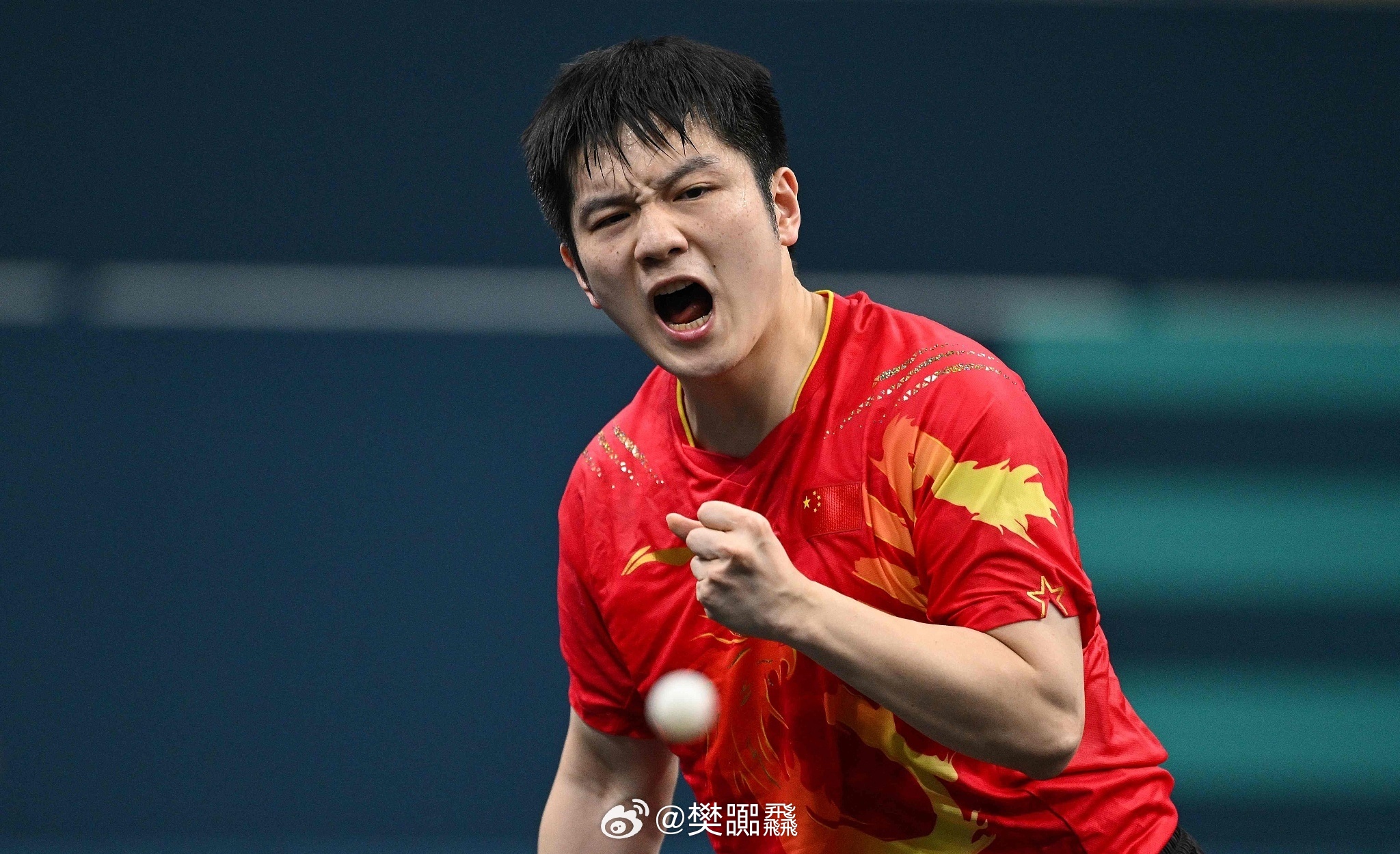 中国男乒青春热血铸就辉煌篇章，最新动态与成就展示