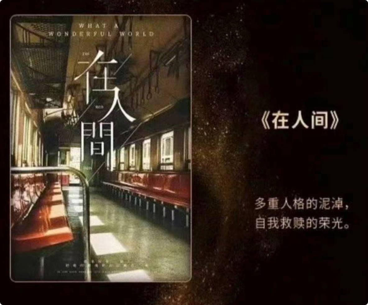人间最新篇章，探索生活的无限可能