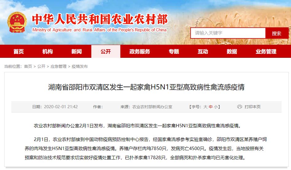 湖南禽流感最新动态，守护家园的健康防线