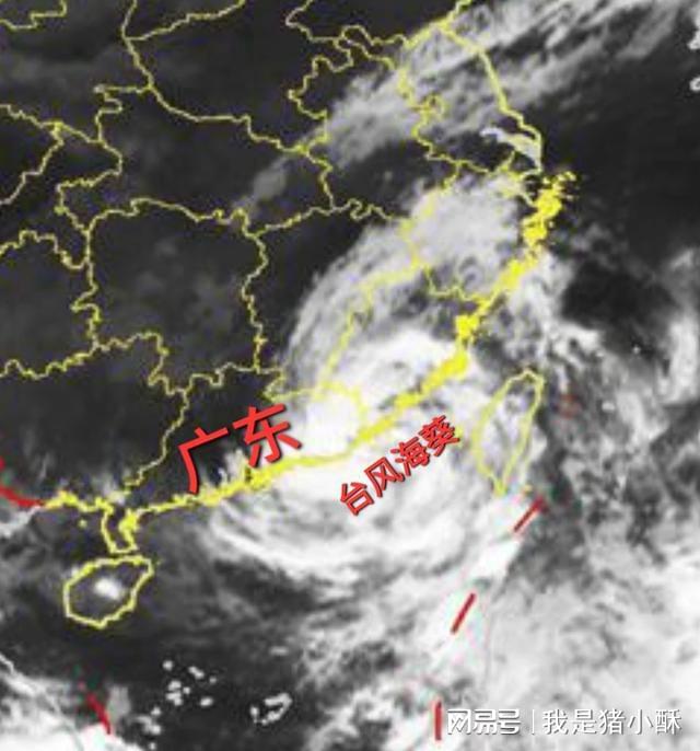 风雨中的守望与力量，最新台风情况实时更新