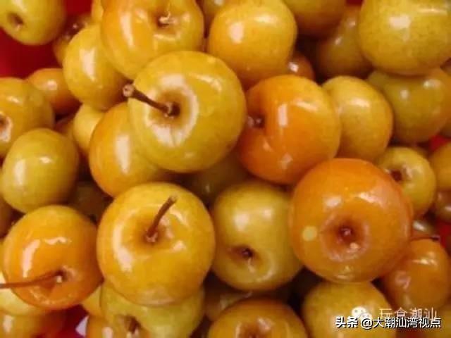 潮汕笑话视频，欢乐传递正能量，笑声充盈生活每一个角落