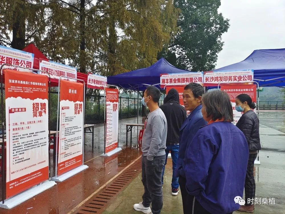 桑植最新招工信息，开启职业新篇章的大门