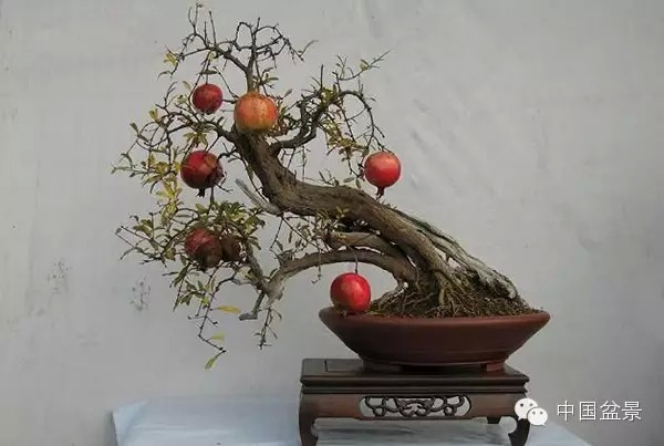第1343页