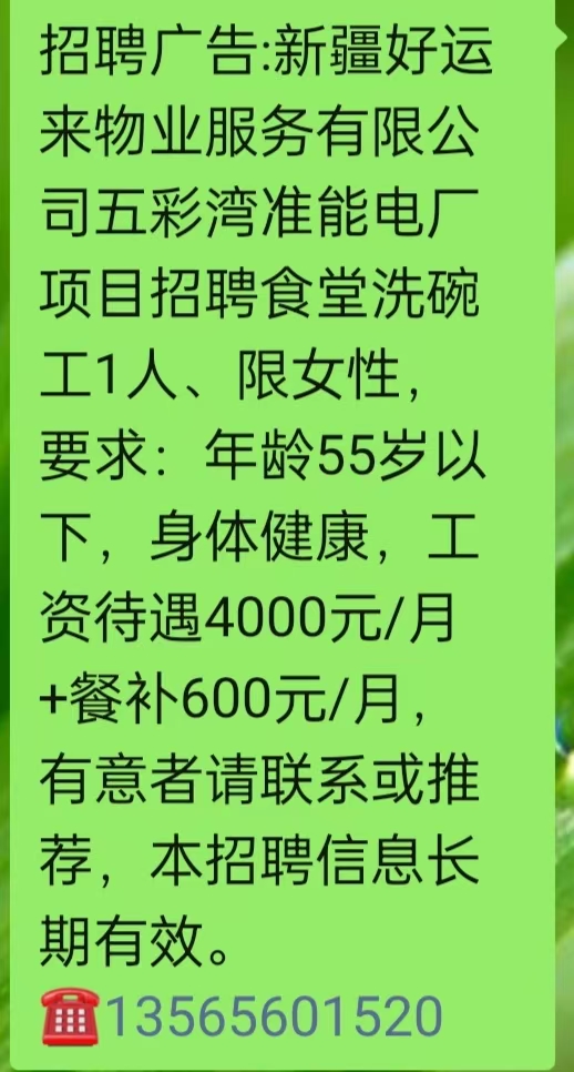 阜康最新招聘，探寻职业新机遇，共启未来新征程