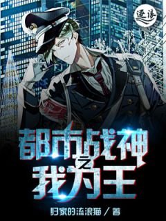 繁华都市中的情感成长之旅，最新完结都市小说精选阅读