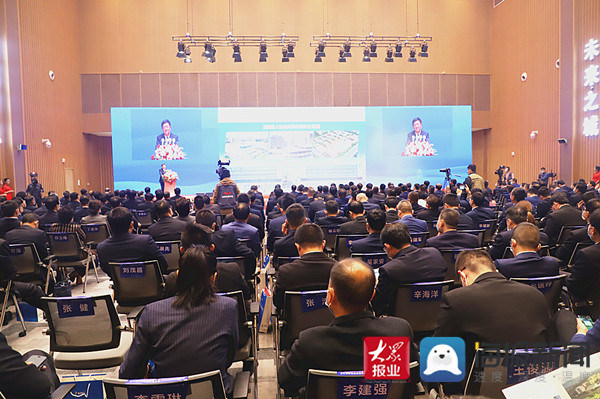 滨州最新新闻报道，城市焕发新活力，展现多元魅力