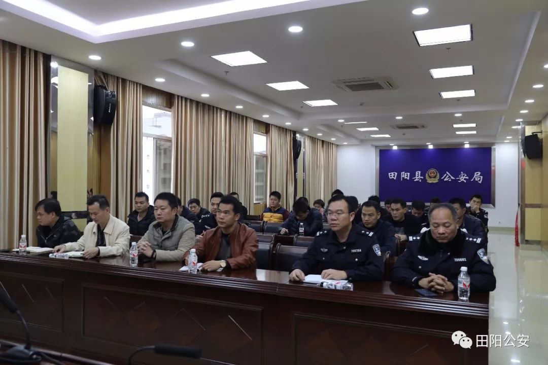田阳最新新闻报道，展现新时代活力四溢的风采