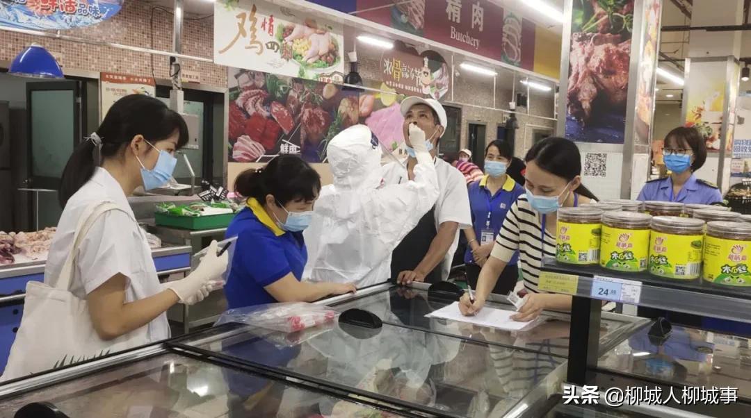 大埔最新动态，活力四溢的新篇章开启