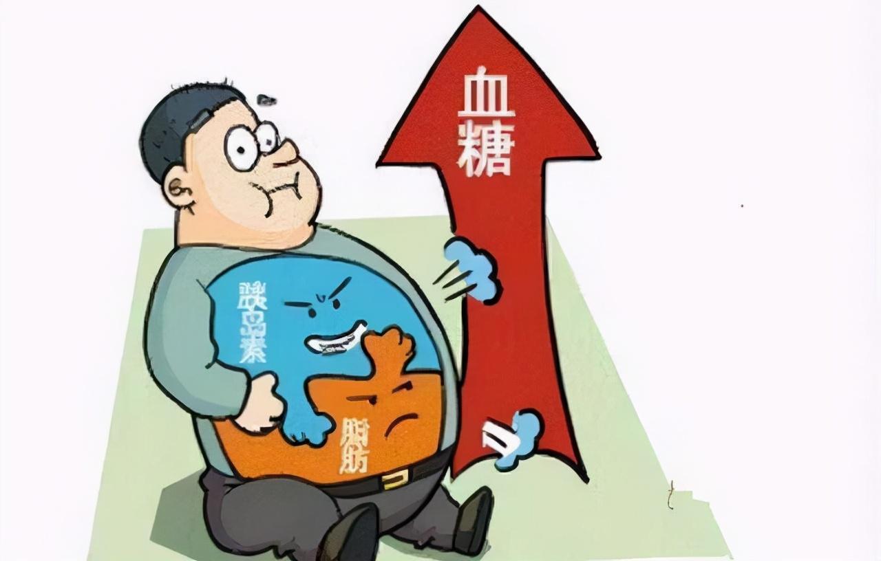 探索2017，最新走红视频盘点