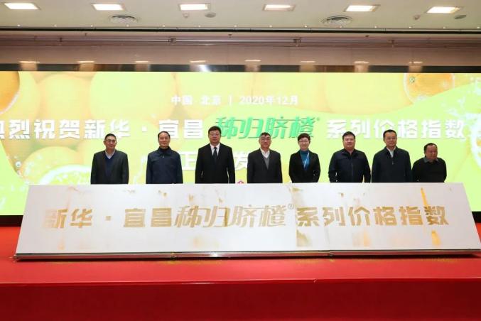 秭归新篇章开启，活力四溢的新闻报道