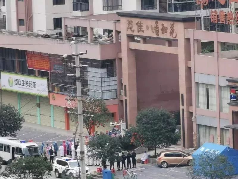 临桂最新新闻报道，活力之城新篇章开启