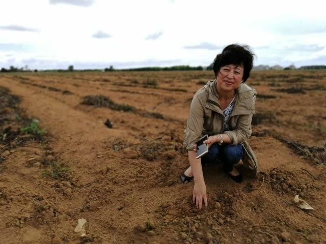 徐闻最新土地动态，探索土地出卖的最新篇章