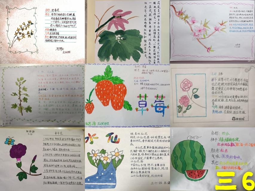 徐州蔬菜最新行情，繁荣绿意世界中的市场脉动