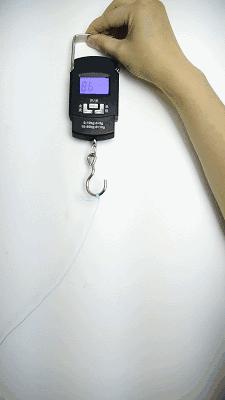 第1286页