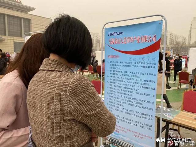 宁津最新招聘，探寻职业发展无限可能的机遇