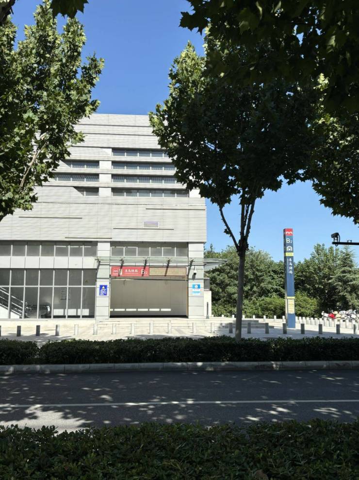 正阳大道最新动态，城市发展的脉搏正在跃动
