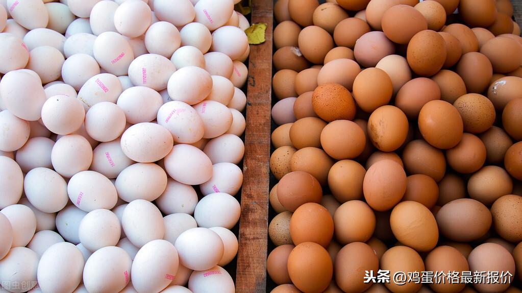 北京鸡蛋价格最新动态，市场波动中的民生观察