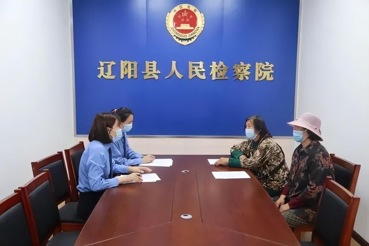 辽阳鸡蛋最新价格，市场走势与消费者关注焦点分析