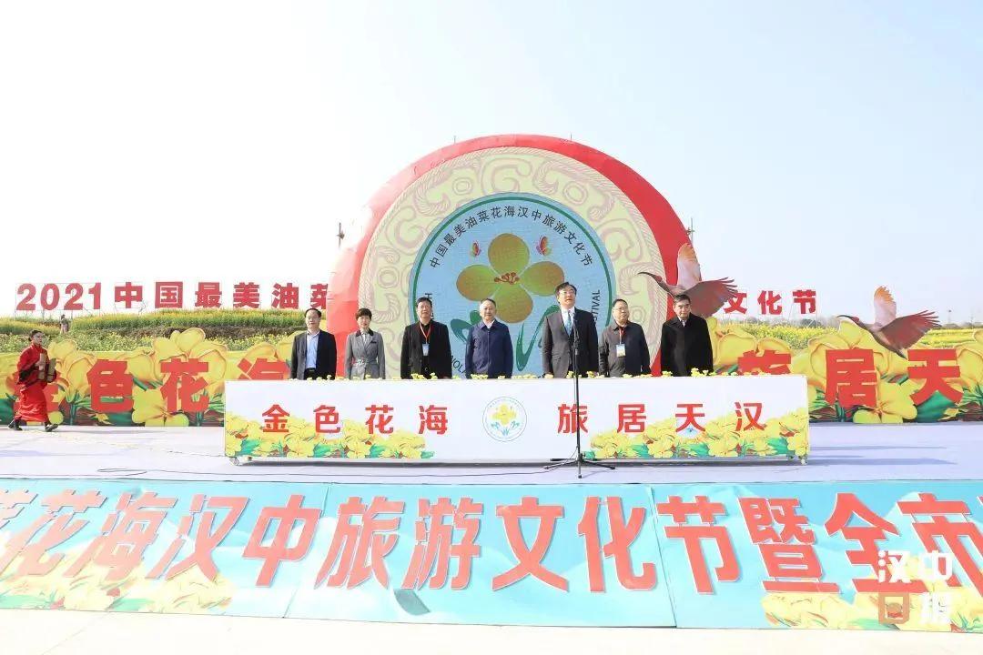西乡最新动态，活力四溢的新篇章开启