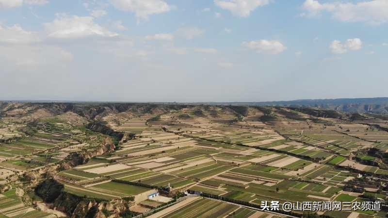 新绛活力四溢的城市脉动，最新新闻报道汇总