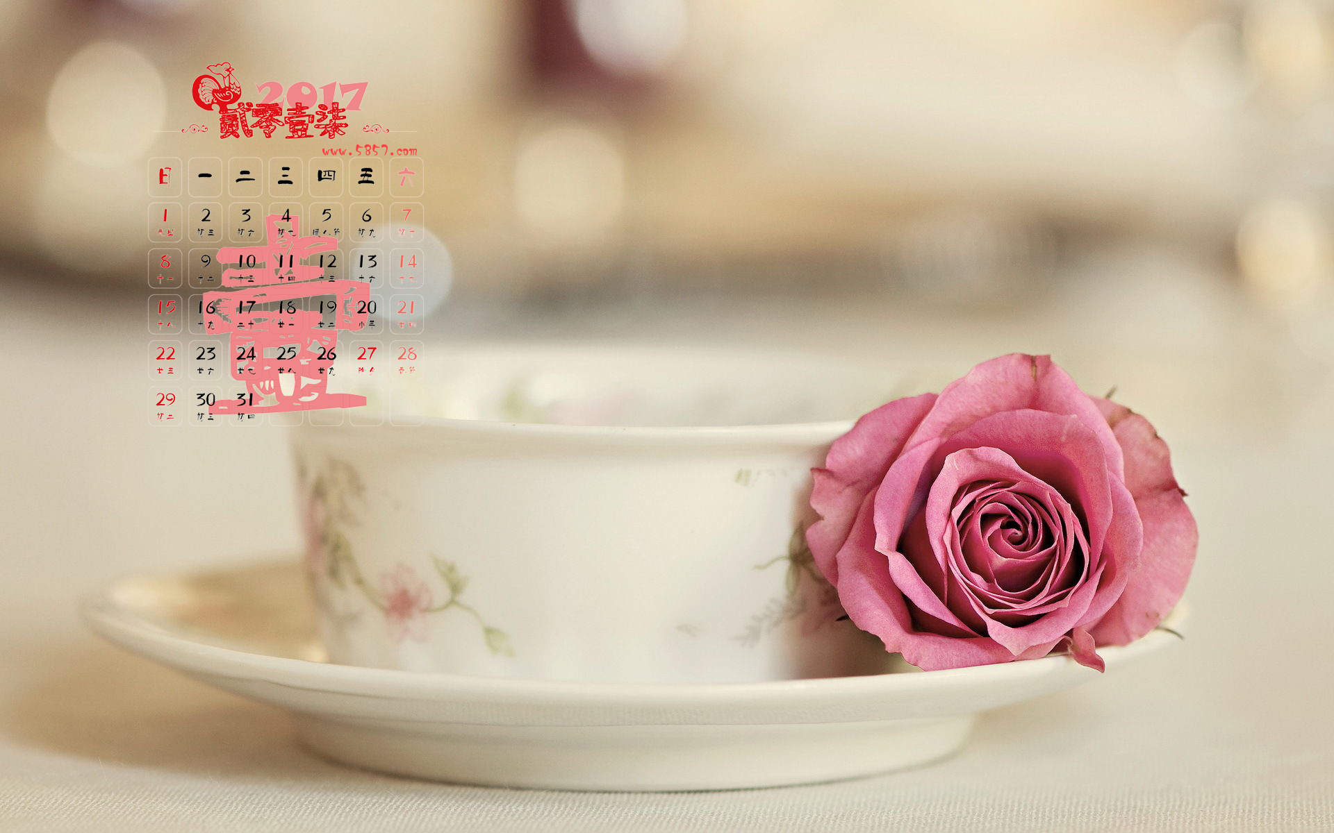 探索视觉盛宴，2017最新图片唯美启示与感悟