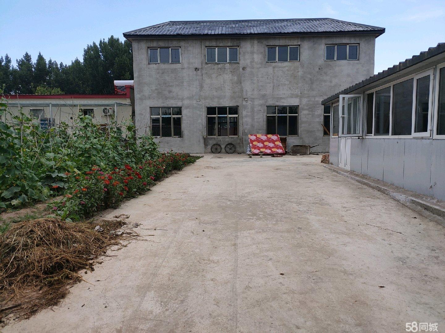 赵县独院最新出售信息及探寻理想居住地指南