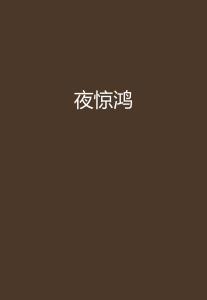 夜惊鸿最新小说，穿越奇幻之旅的冒险之旅