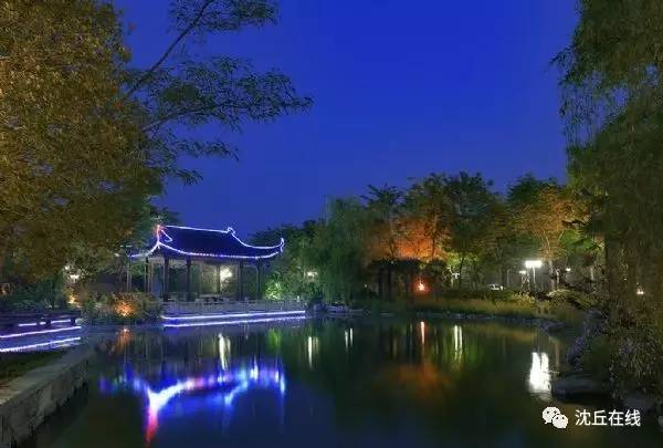 沈丘贴吧最新动态，探索城市鲜活瞬间的脉搏