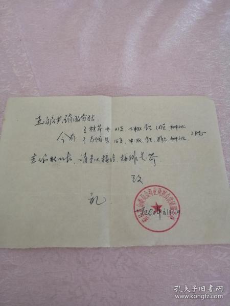 最新白户口子探索，未知领域的新篇章开启