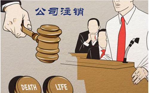 最新公司注销,最新公司注销背后的故事，洞察企业生命的起伏