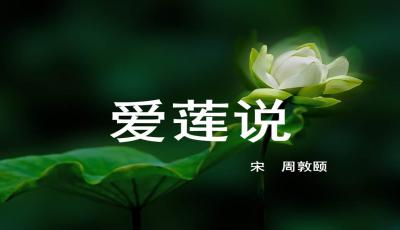 爱莲说最新优秀教案详解