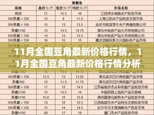 豆角价格最新行情，市场波动、未来展望及预测分析
