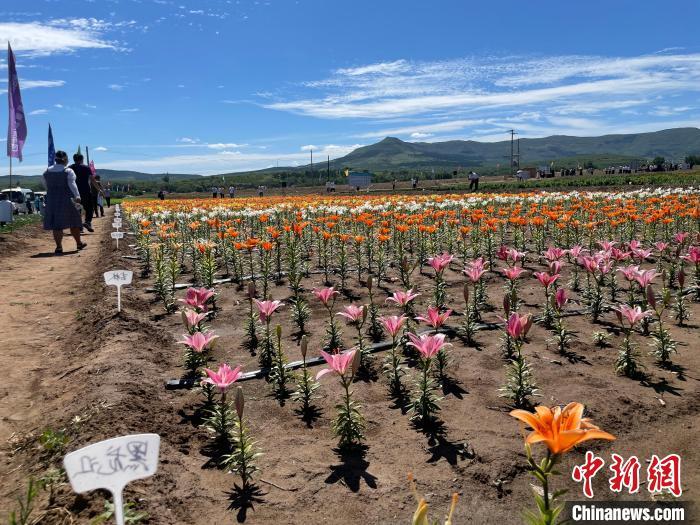 喀喇沁旗新气象，活力四溢的边疆小城揭晓最新新闻报道