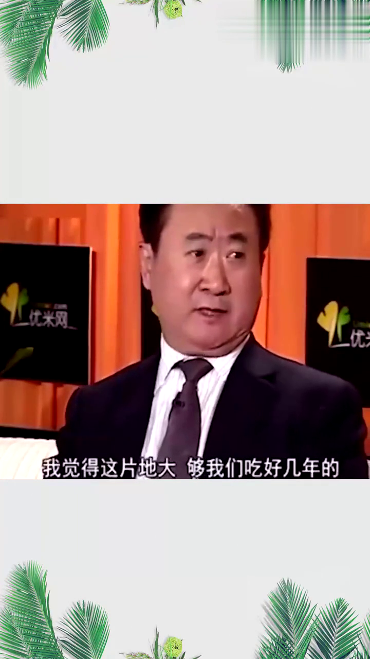 王健林最新访谈视频，商业巨头的人生哲学与未来展望展望商业前景