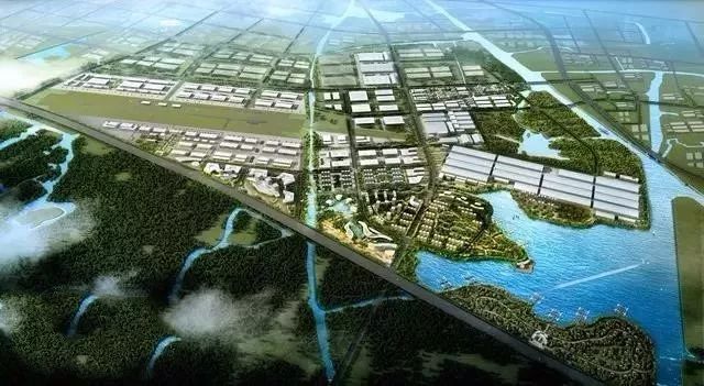 德清最新新闻报道，活力四溢的新时代风采展示